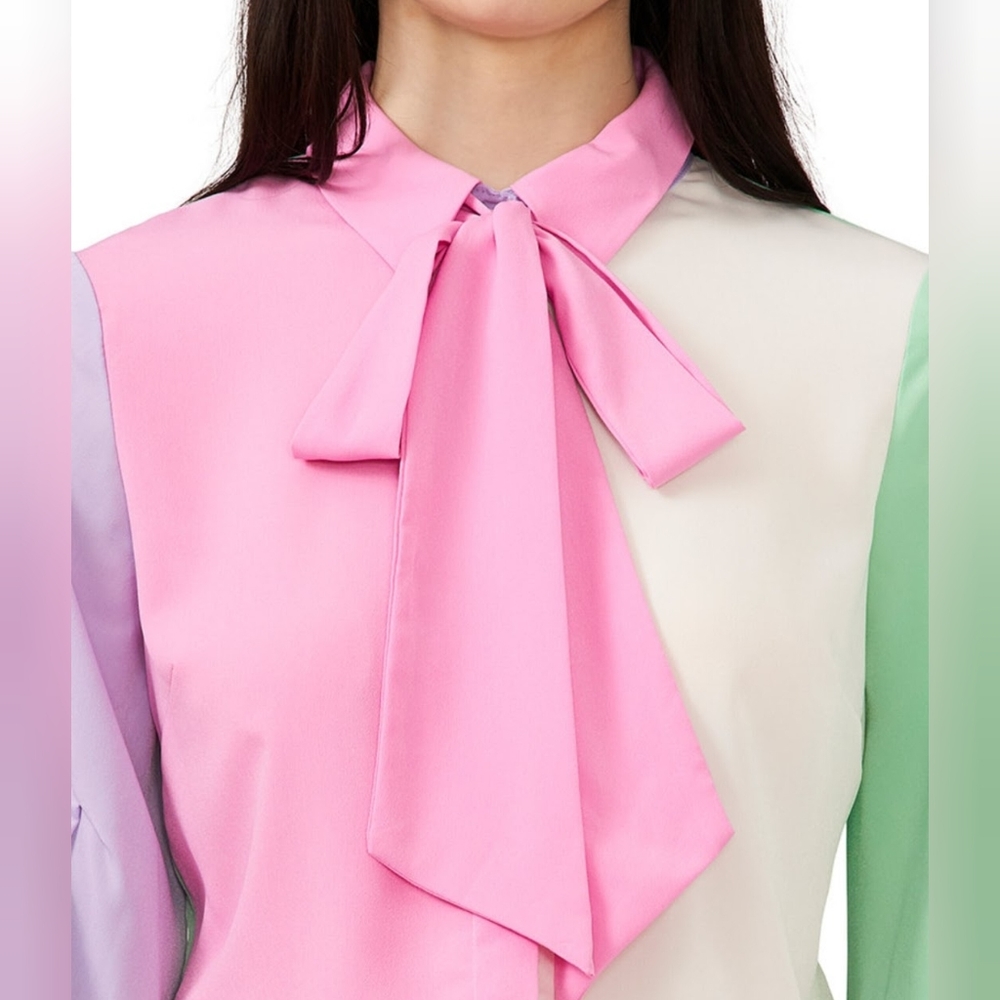 🔥Riley & Rae Colorblocked Tie-Neck Blouse - Picture 5 of 17